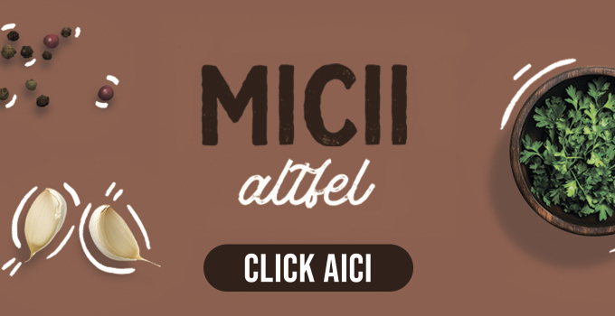 mici_cover